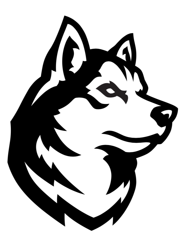 Team logo 255