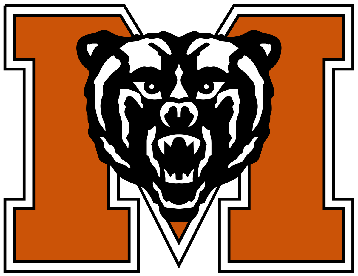 Team logo 263