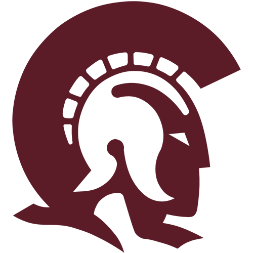 Team logo 272