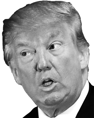 Donald Trump photo